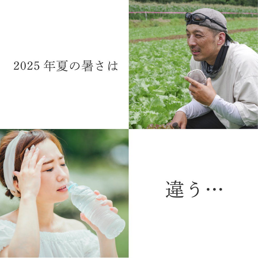 冷感タオルセット割