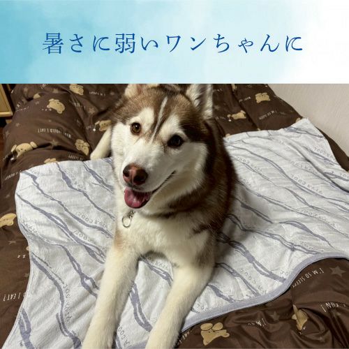 商品一覧 | JOGAN公式online shop